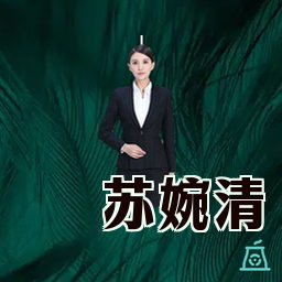 苏婉清